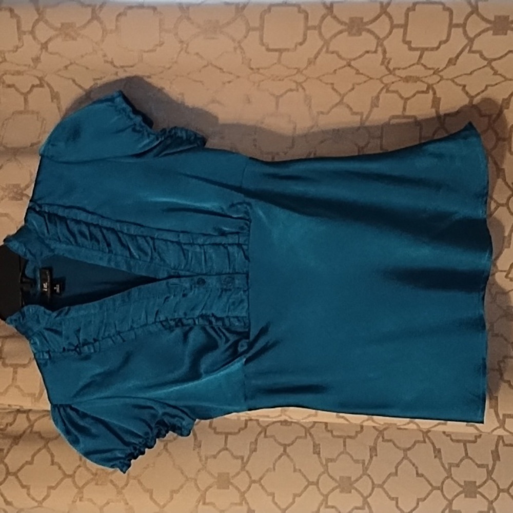 Iz Blouse.    EUC